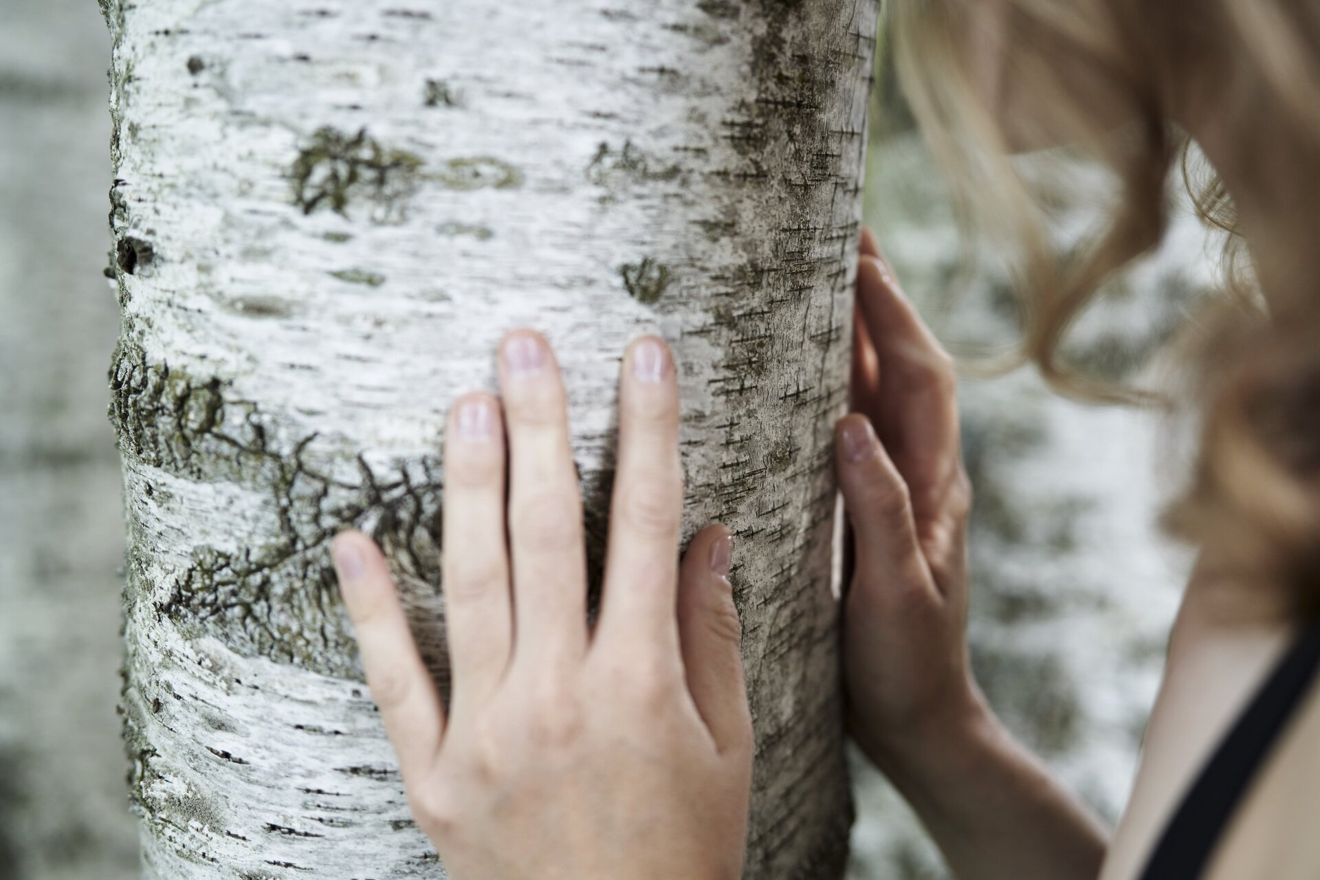 Angststörungen diagnostizieren und behandeln bei Alpreflect