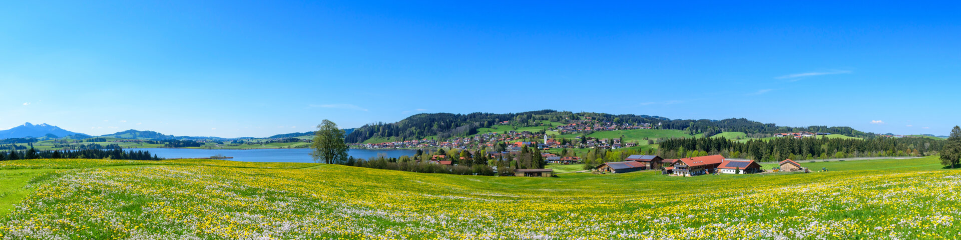 Panorama Blick vom Alpreflect