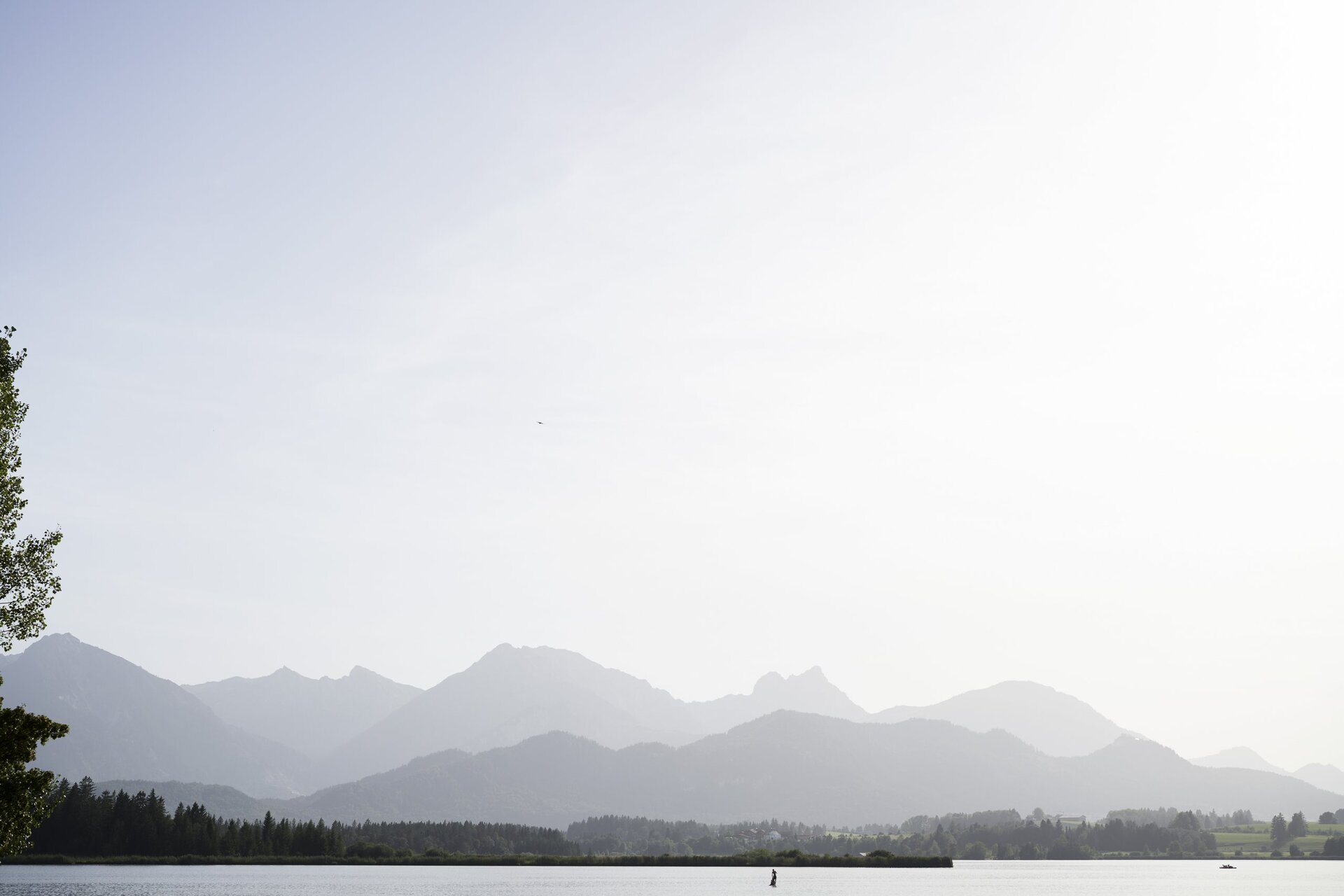 Ausblick auf den Hopfensee 