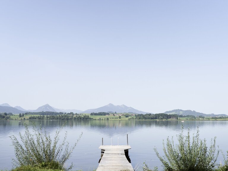 Privat-Steg in den Hopfensee vom Alpreflect