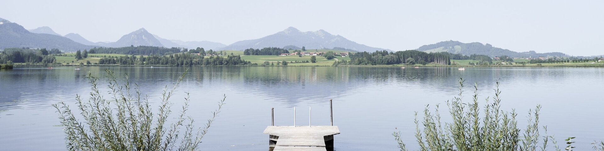Seeufer vom Hopfensee mit Steg